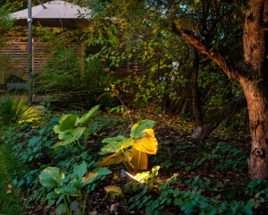 Dezente Strahler im Außenbereich