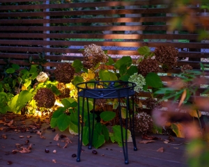 Wunderschöne Außenlichtstimmung